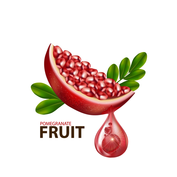 600x600 Realistic Pomegranate Fruit Illustration Vector Free Download