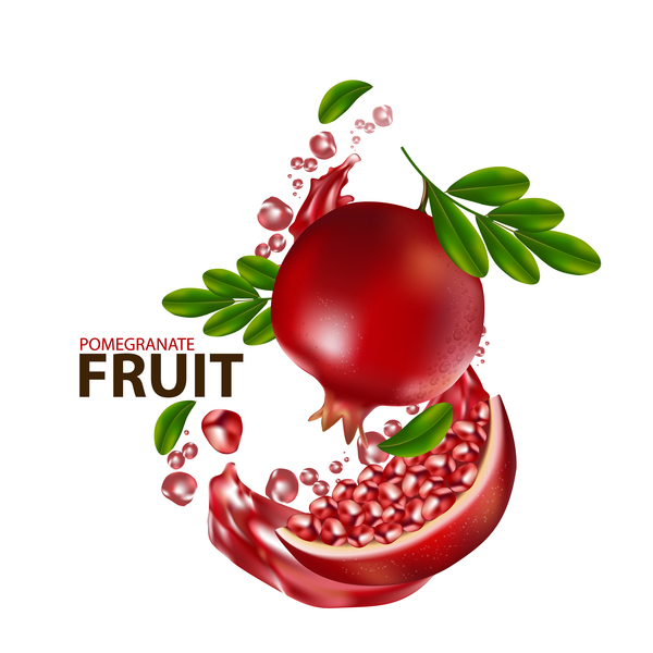 600x600 Realistic Pomegranate Fruit Illustration Vector Free Download