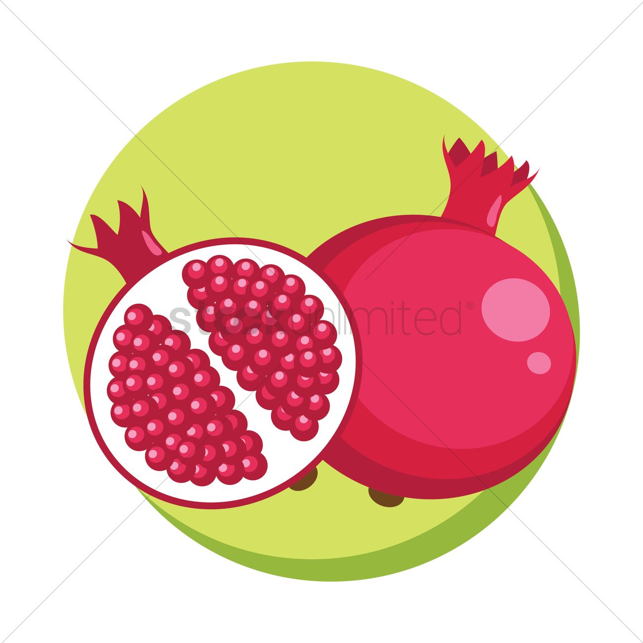 1300x1300 Free Pomegranate Vector Image
