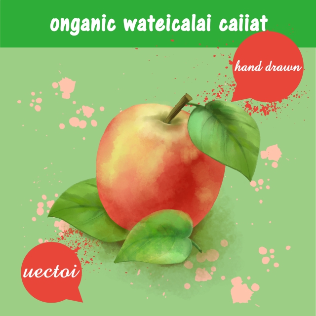 640x640 Vector Pomegrana Vector, Free Download Vector Pomegranate