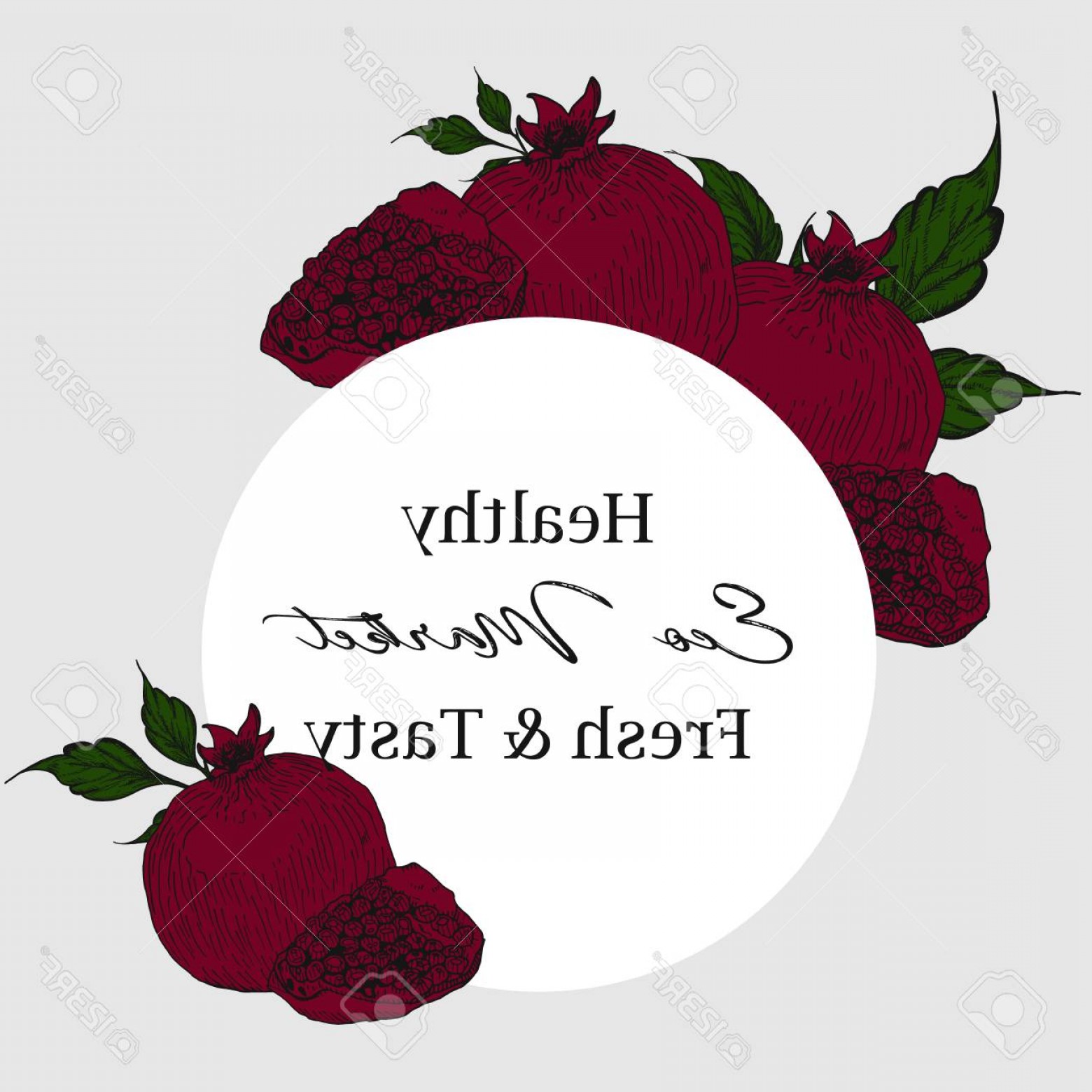 1560x1560 Photostock Vector Pomegranate Fruit Vintage Design Template