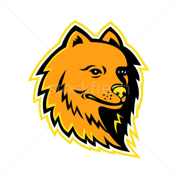 600x600 Pomeranian Stock Vectors, Illustrations And Cliparts Stockfresh