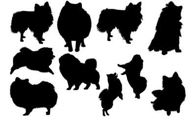 400x240 Pomeranian Vector Photos, Royalty Free Images, Graphics, Vectors
