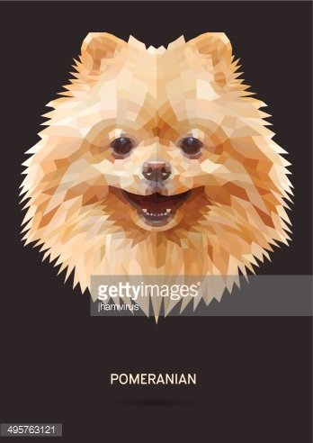 348x492 Pomeranian Vector Stock Vectors