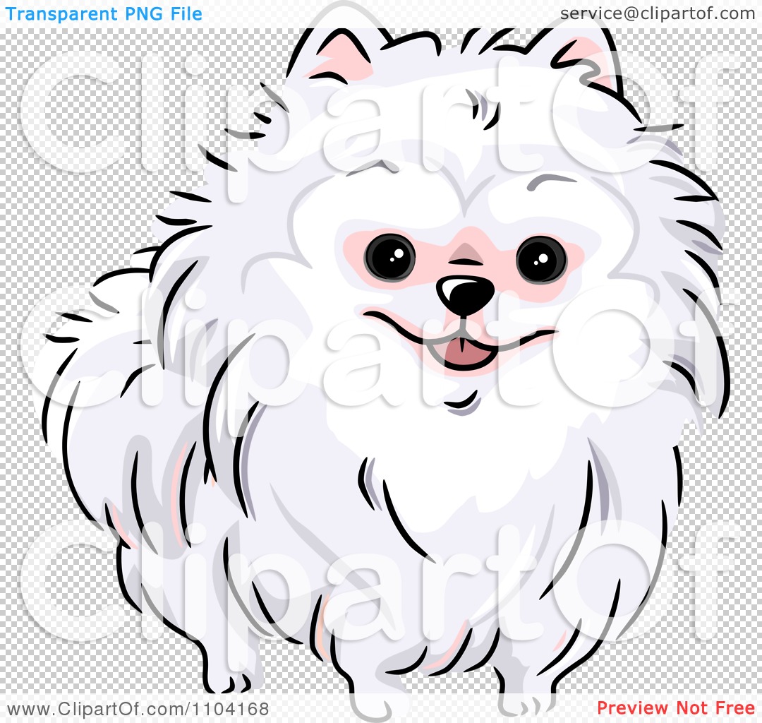 1080x1024 Clipart Happy White Pomeranian Dog