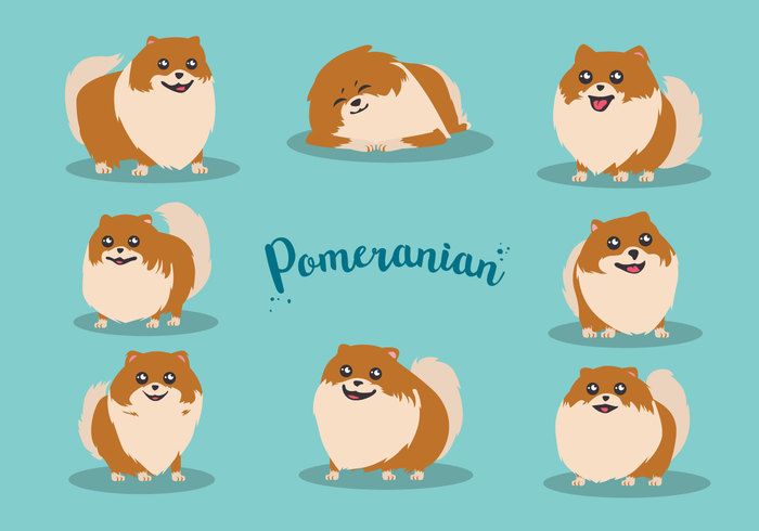 700x490 Free Cartoon Pomeranian Vector Overload Free Cartoons