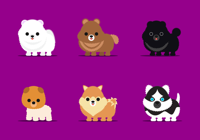 700x490 Free Pomenarian Vector