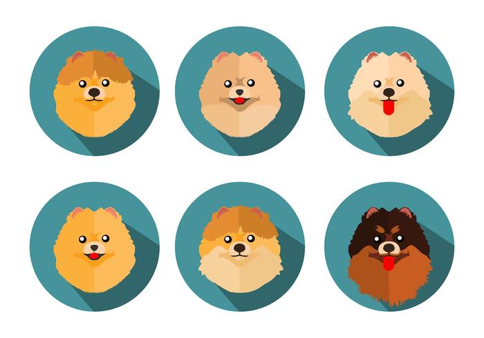 700x490 Free Pomeranian Icons Vector