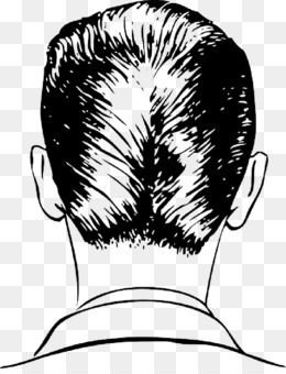 Pompadour Png Free Download 260x340 Pompadour Png Free Download