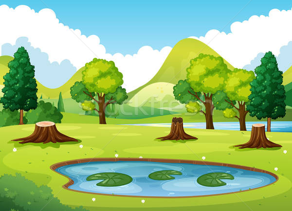 600x434 Forest Scene With Little Pond Vector Illustration Matthew Cole