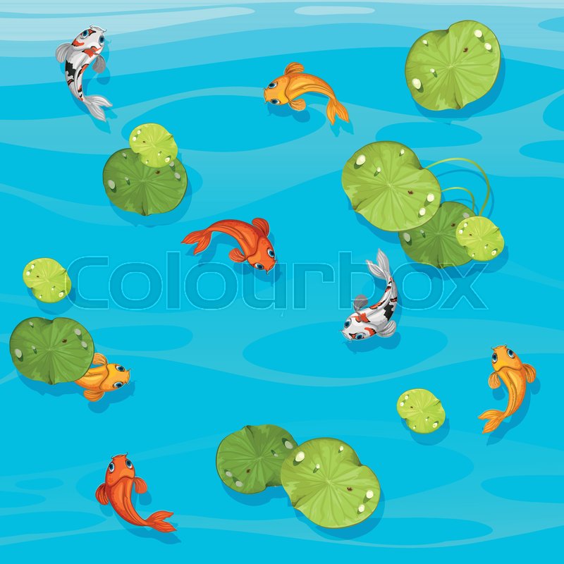 800x800 Large Koi Fish In Pond Illustration Stock Vector Colourbox