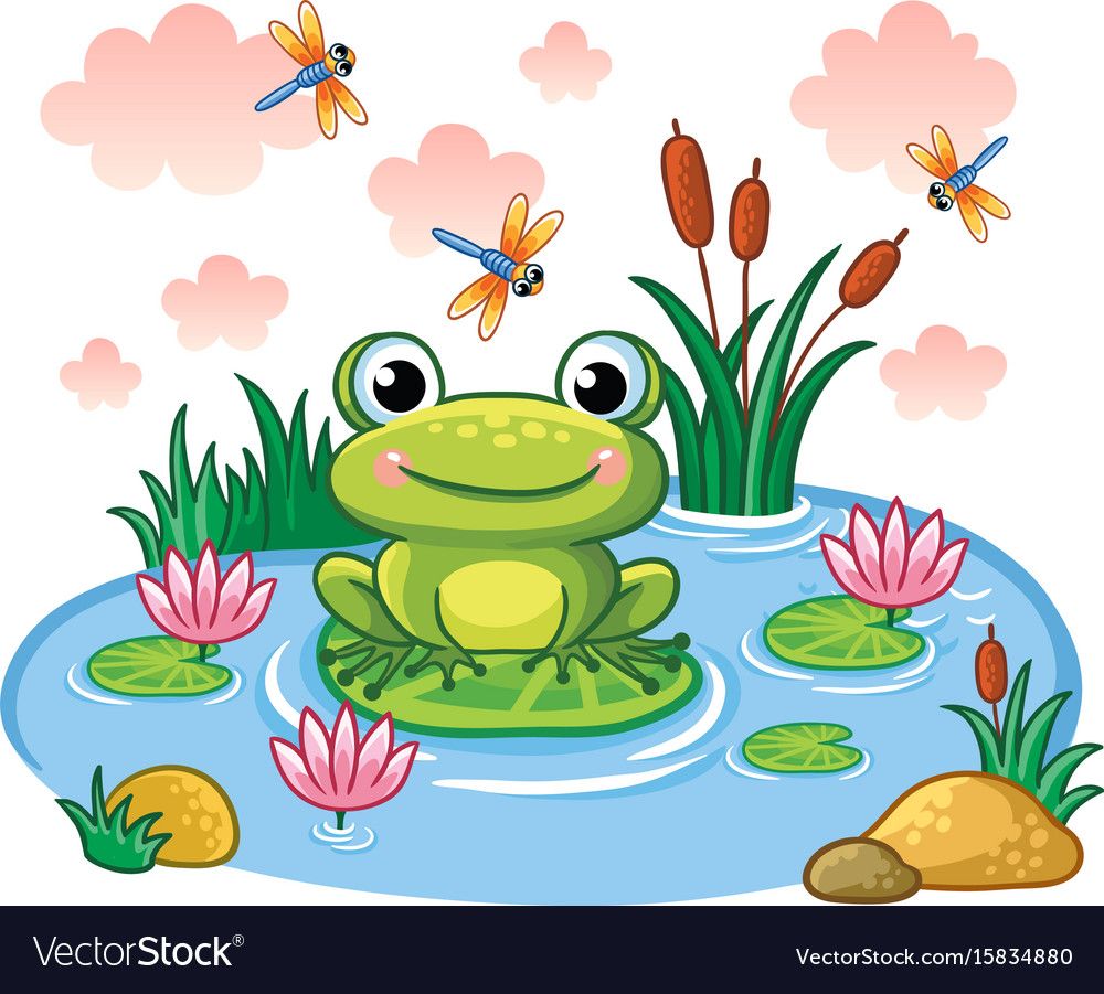 1000x901 The Frog Sits On A Leaf In The Pond Royalty Free Vector Obrazki