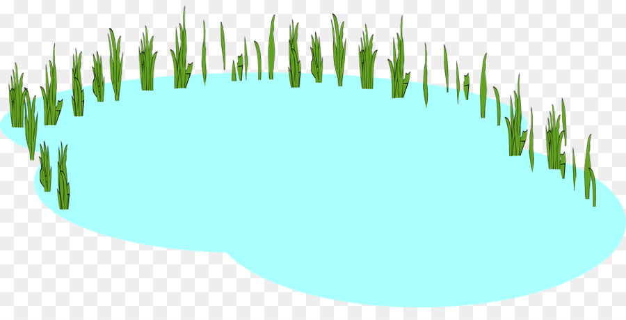 900x460 Clip Art Image Pond Vector Graphics Portable Network Graphics