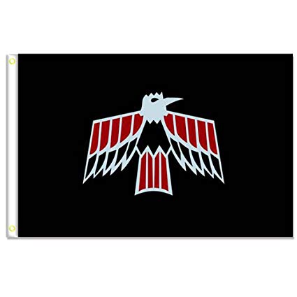 425x425 Pontiac Firebird Black Vector Flags Banner