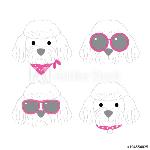 Poodle Dog Vector