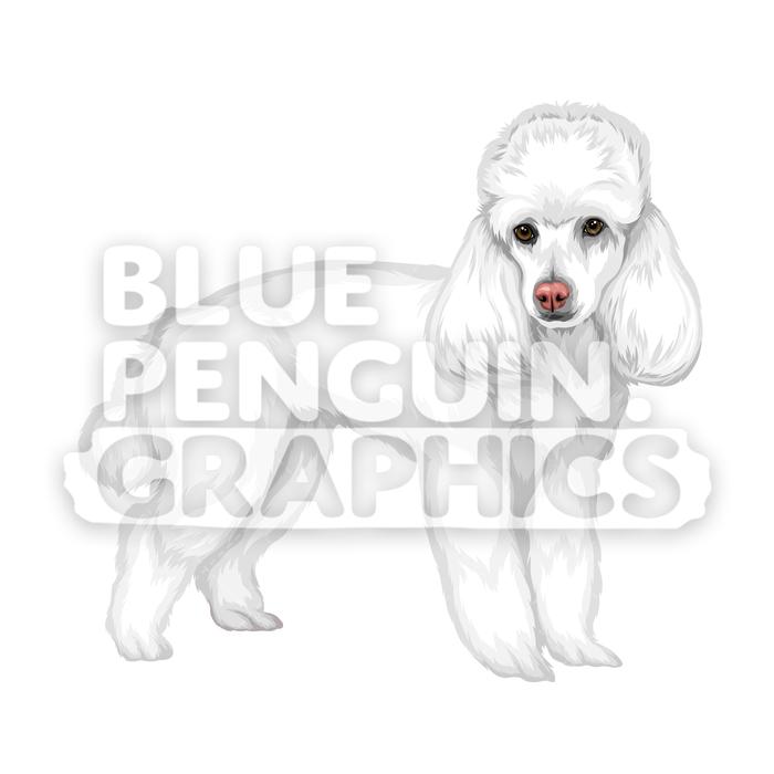 700x700 Poodle Dog Version Vector Cartoon Clipart Illustration Blue