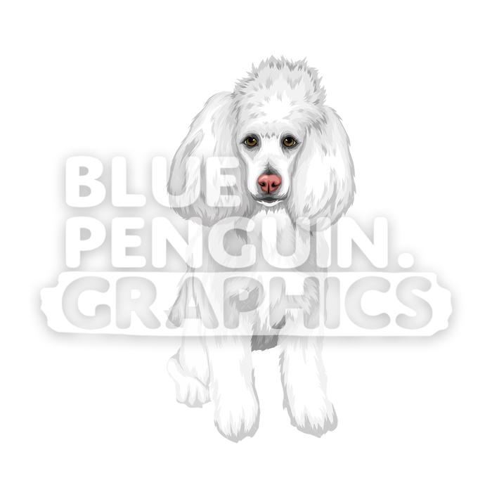 700x700 Poodle Dog Version Vector Cartoon Clipart Illustration Blue