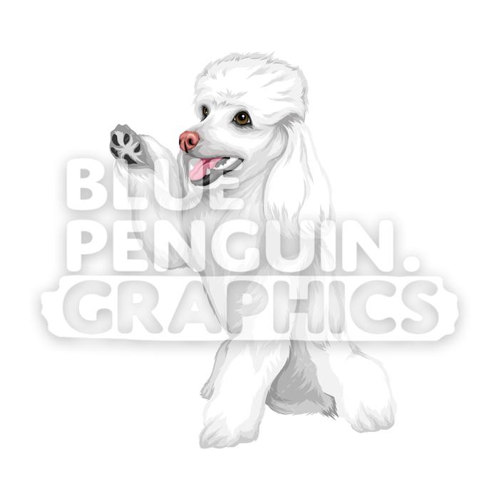 700x700 Poodle Dog Version Vector Cartoon Clipart Illustration Blue