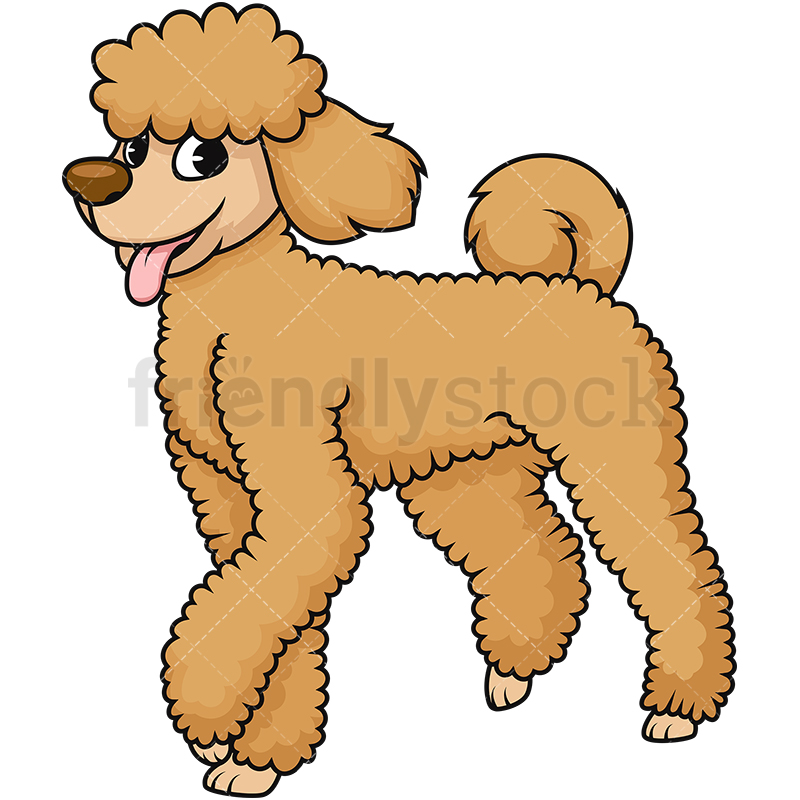 cartoon toy poodle