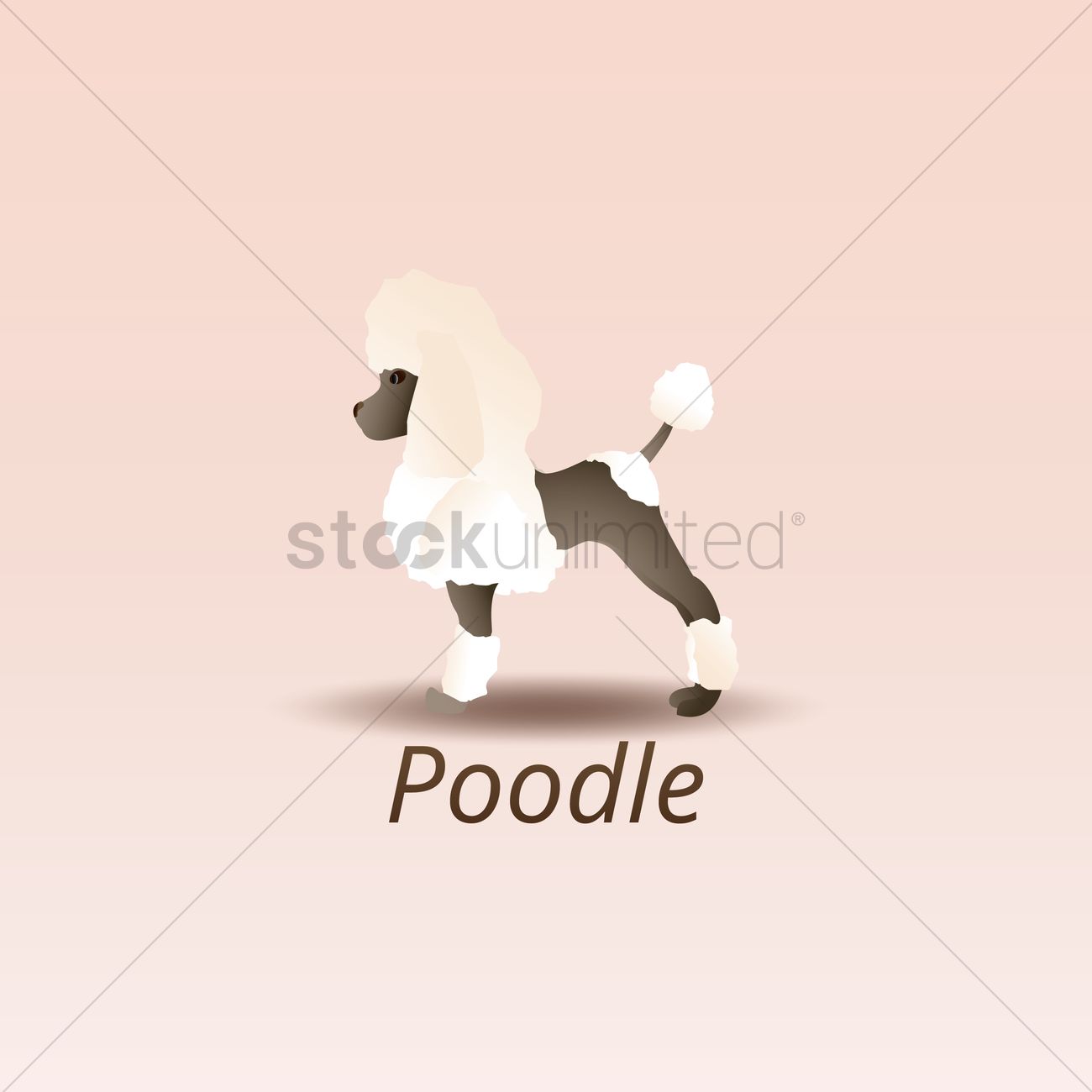 1300x1300 Poodle Dog Vector Image