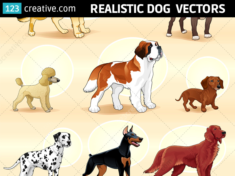 800x600 Realistic Dog Vector Pack