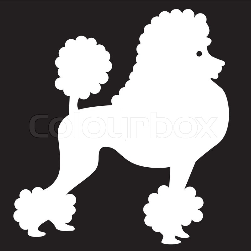 800x798 Silhouette Image Of Poodle Dog Stock Vector Colourbox