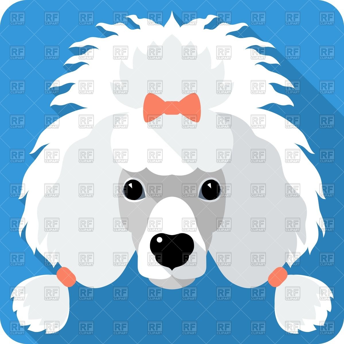 1200x1200 Face Of Poodle Dog