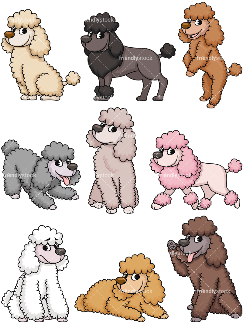 800x1067 Miniature Poodles Cartoon Vector Clipart