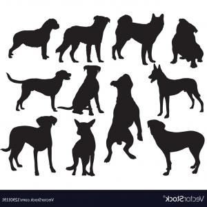 Photostock Vector One Line Dog Poodle Design Silhouette Hand Drawn 300x300 Photostock Vector One Line Dog Poodle Design Silhouette Hand Drawn