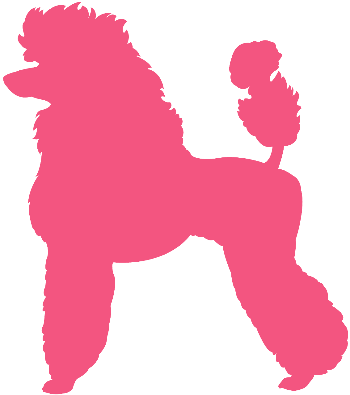 Poodle 1133x1280 Poodle