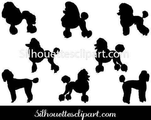 Poodle Dog Silhouette Vector Animals Silhouette Vector Dog 480x384 Poodle Dog Silhouette Vector Animals Silhouette Vector Dog