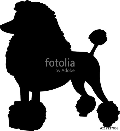 Poodle Dog Stock Image And Royalty Free Vector On Fotolia 459x500 Poodle Dog Stock Image And Royalty Free Vector On Fotolia