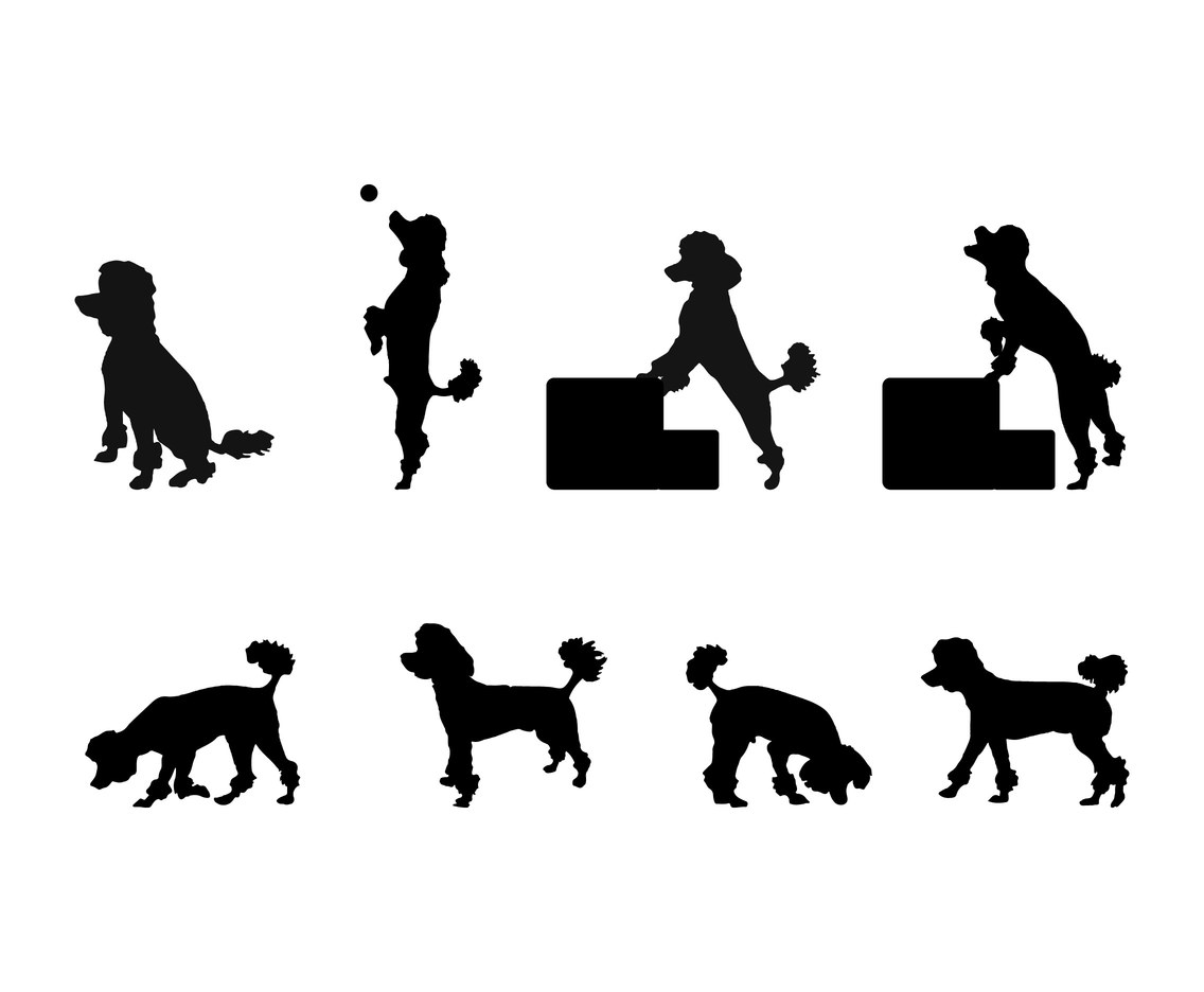 Poodle Silhouette Set Vector Art Graphics 1136x936 Poodle Silhouette Set Vector Art Graphics