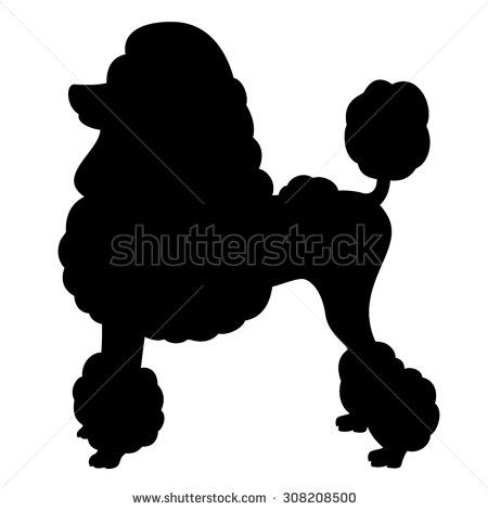 Poodle Purebred Dog With Continental Clip Standing In Side View 450x470 Poodle Purebred Dog With Continental Clip Standing In Side View
