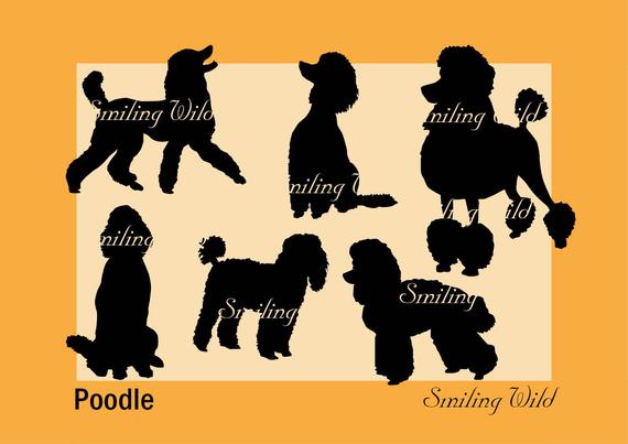 Poodle Silhouette Dog Clipart Cut Out Vector Graphic Art Etsy 570x403 Poodle Silhouette Dog Clipart Cut Out Vector Graphic Art Etsy