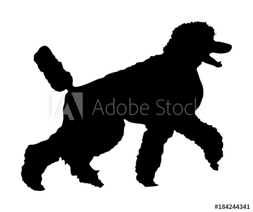 Portrait Of Royal Poodle Vector Silhouette Illustration Isolated 500x420 Portrait Of Royal Poodle Vector Silhouette Illustration Isolated