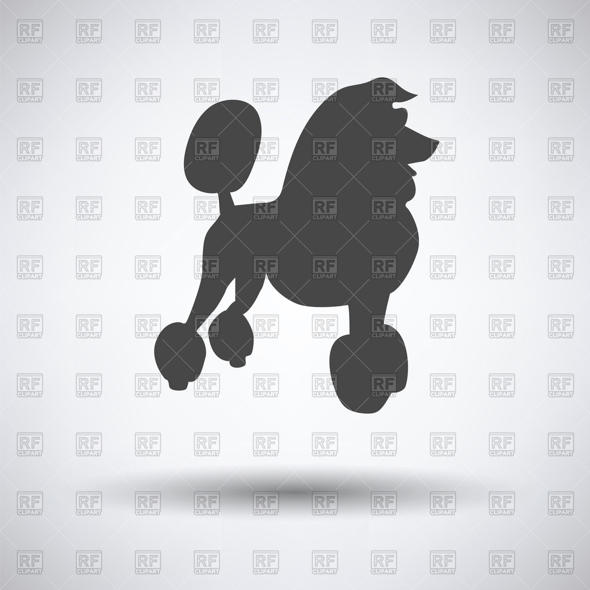 Silhouette Of Poodle On Gray Background Vector Image Of Plants 1200x1200 Silhouette Of Poodle On Gray Background Vector Image Of Plants