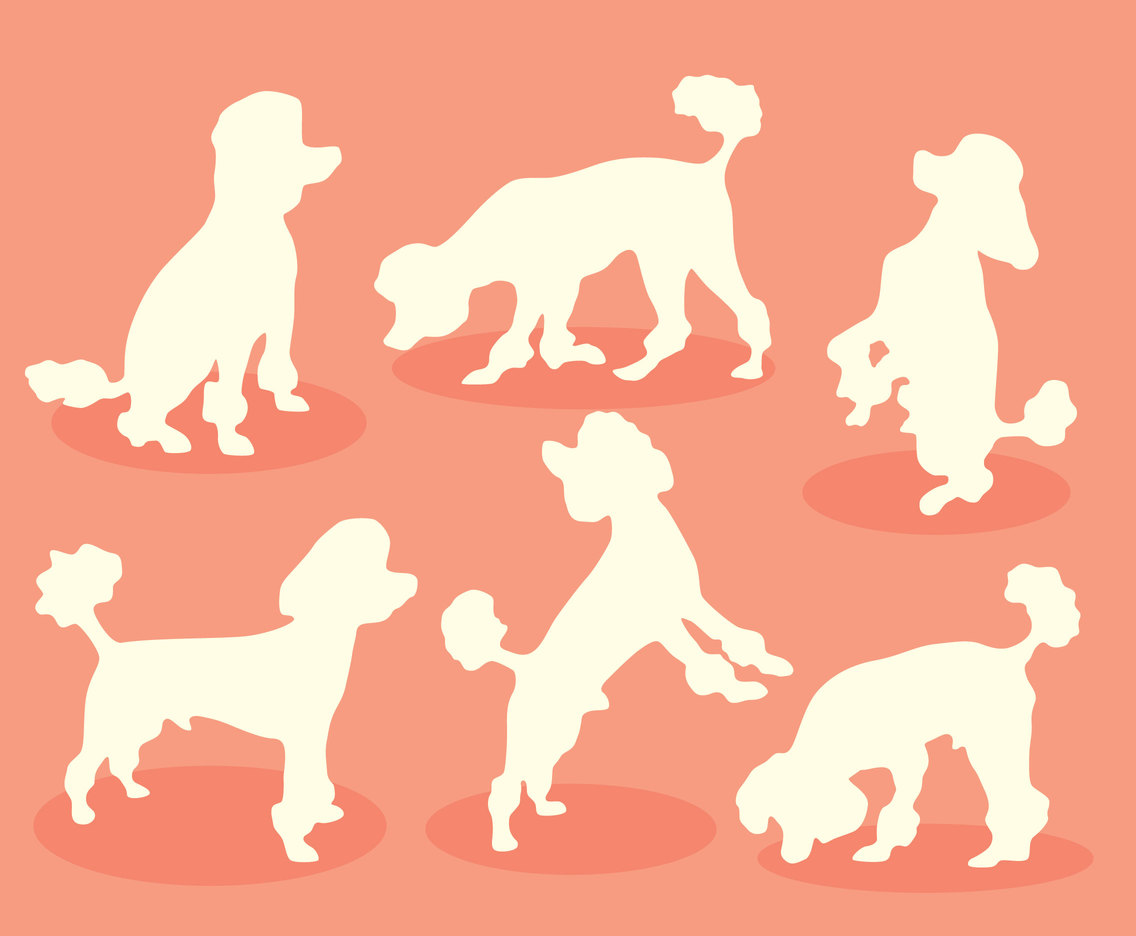 White Silhouette Poodle Vector Vector Art Graphics 1136x936 White Silhouette Poodle Vector Vector Art Graphics