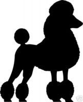 Huge Collection Of 'french Poodle Silhouette' Download More Than 162x200 Huge Collection Of 'french Poodle Silhouette' Download More Than
