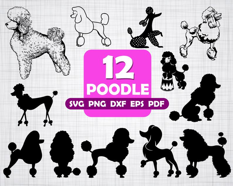 Download Poodle Silhouette Vector at Vectorified.com | Collection of Poodle Silhouette Vector free for ...