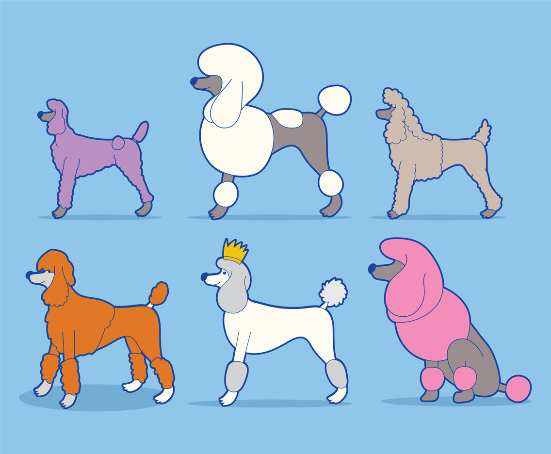 1136x936 Poodle Vector Set Vector Art Graphics