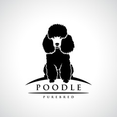 240x240 Poodle Vector Photos, Royalty Free Images, Graphics, Vectors