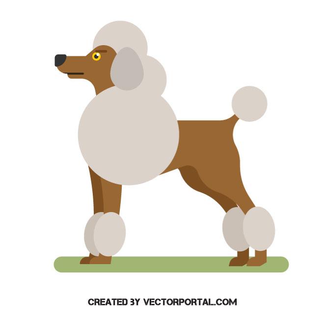 660x660 French Poodle
