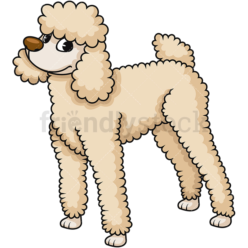 800x800 Pretty Standard Poodle Cartoon Vector Clipart