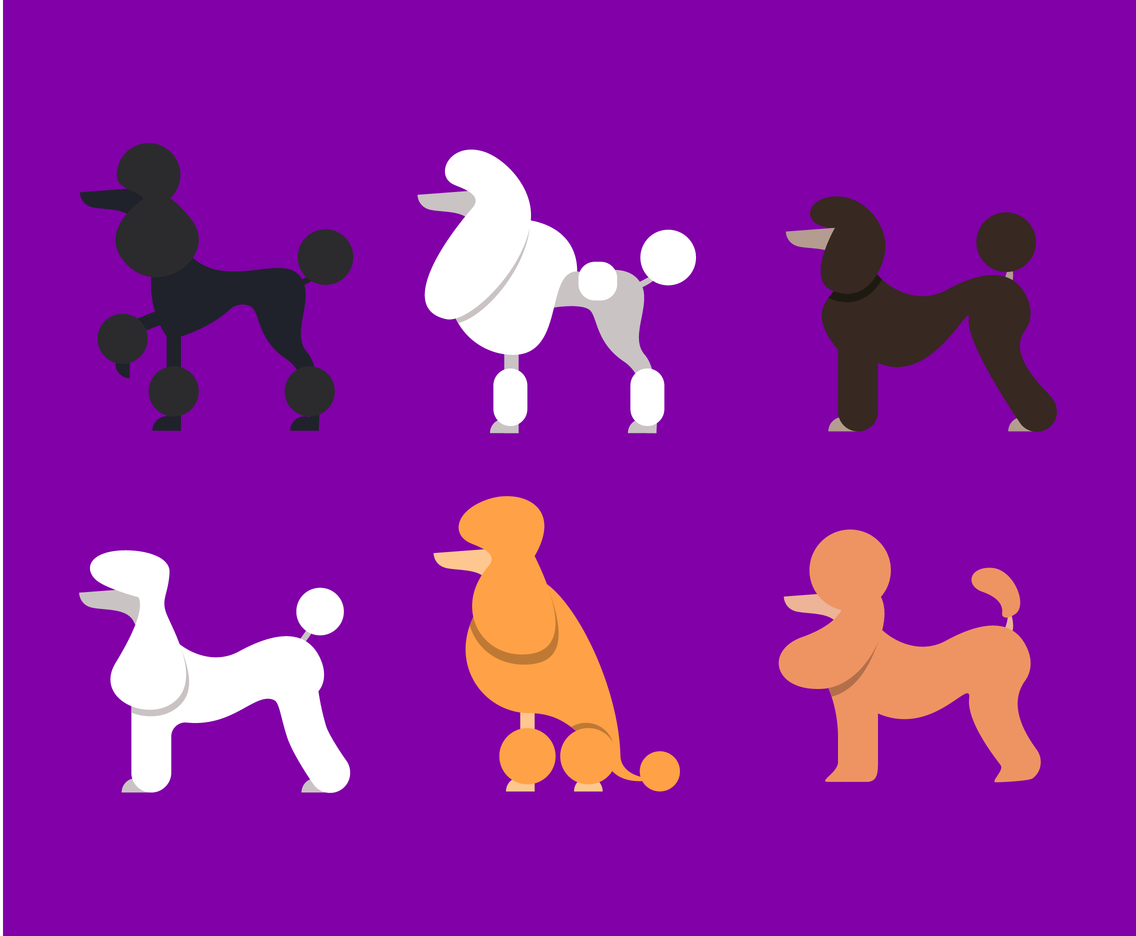 1136x936 Side View Poodle Vector Vector Art Graphics