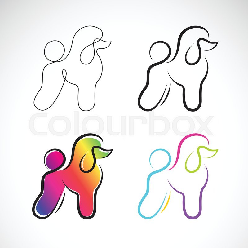 800x800 Vector Of Poodle Dog Design On White Stock Vector Colourbox