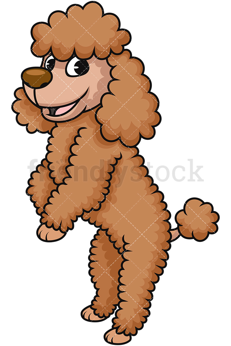 800x1200 Frisky Miniature Poodle Dog Cartoon Vector Clipart
