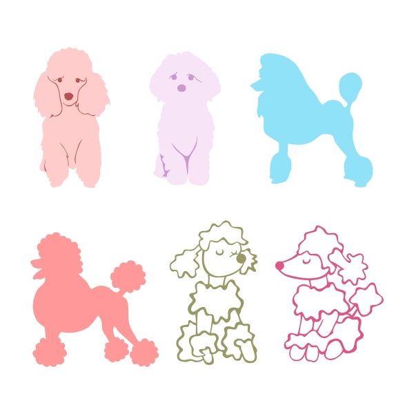 600x600 Animals Poodle Drawing, Poodle Tattoo