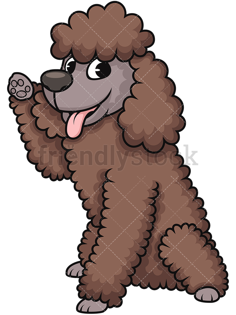 800x1067 Playful Miniature Poodle Cartoon Vector Clipart