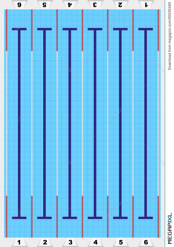 Sport Swimming Pool Vector Illustration 565x800 Sport Swimming Pool Vector Illustration